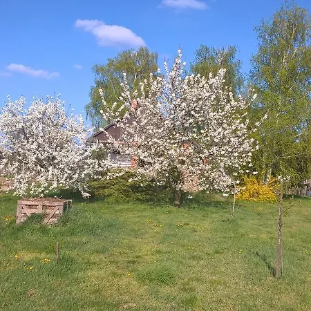 Marika Vendeghaz Tatil Evi Sárvár